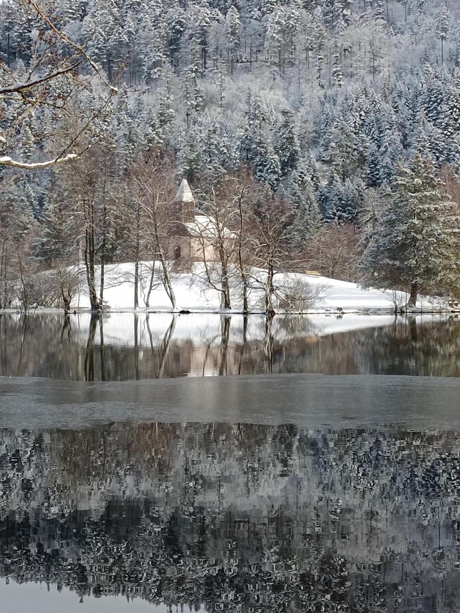 Residence Les Myrtilles Xonrupt-Longemer Kültér fotó