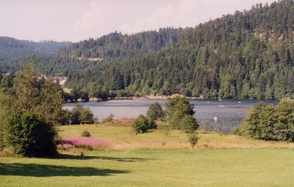 Residence Les Myrtilles Xonrupt-Longemer Kültér fotó
