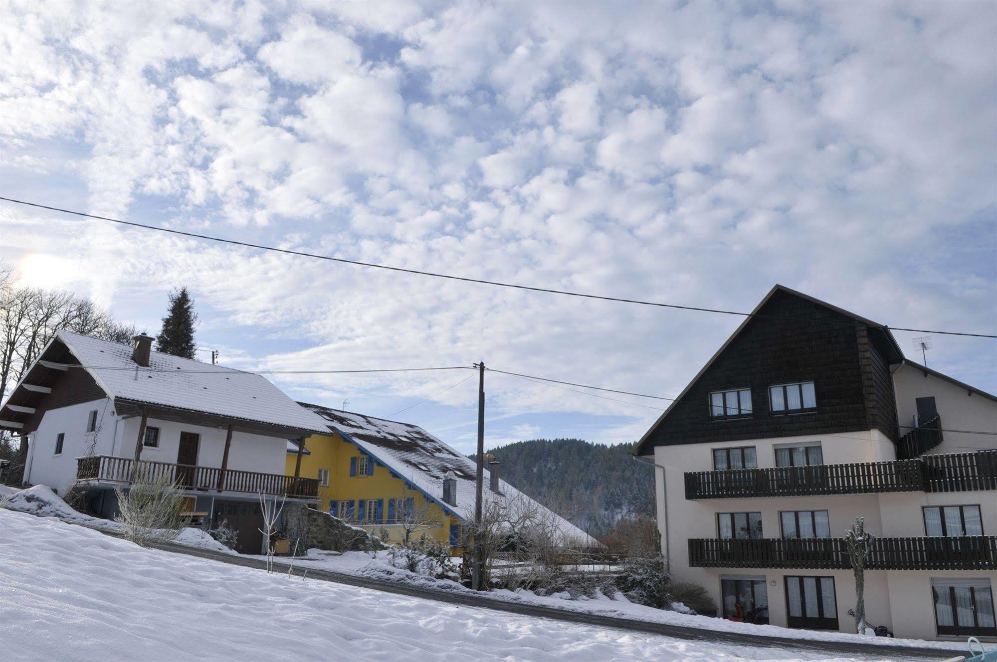 Residence Les Myrtilles Xonrupt-Longemer Kültér fotó